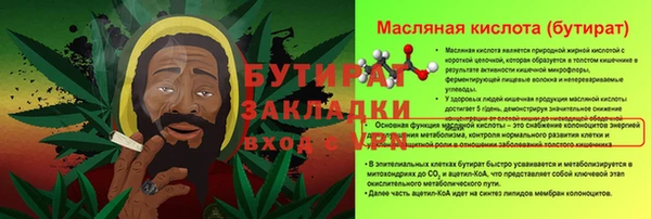 сатива Бородино