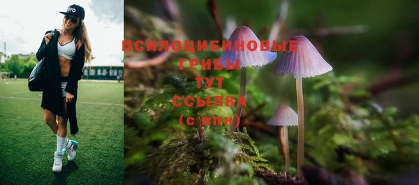 сатива Бородино