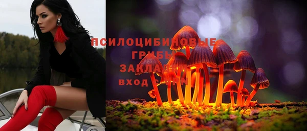сатива Бородино