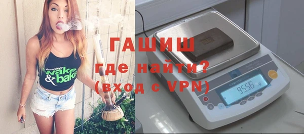сатива Бородино