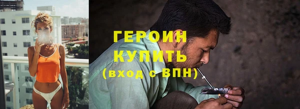 сатива Бородино