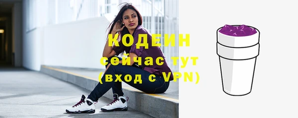 сатива Бородино