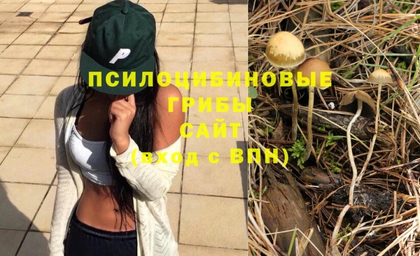 марки lsd Бугульма