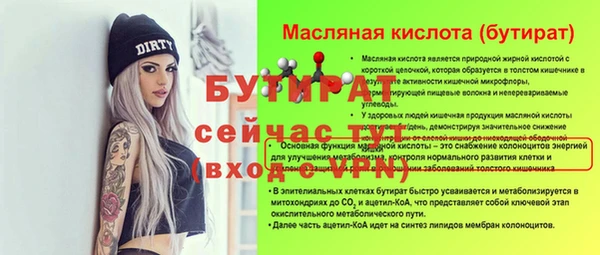 сатива Бородино