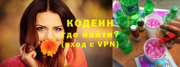 сатива Бородино