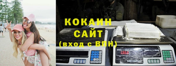 сатива Бородино